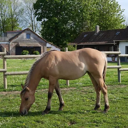 D'hotes Et De La Vieille Ecluse 3* Quend