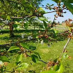 D'hotes Et De La Vieille Ecluse Bed & Breakfast