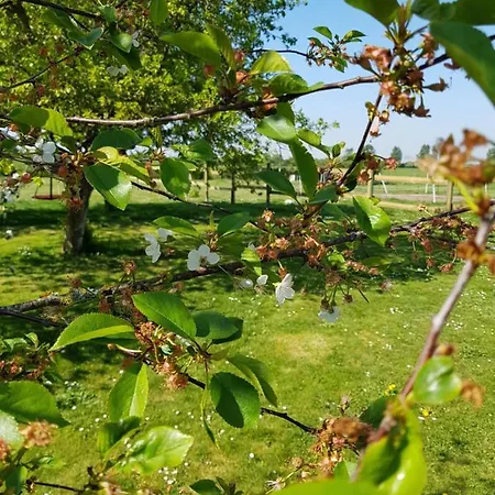 D'hôtes De La Vieille Ecluse Couette-café