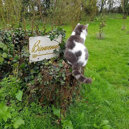 Couette-café D'hôtes De La Vieille Ecluse