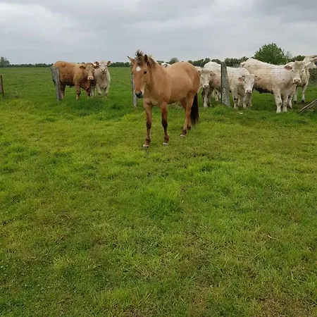 D'hôtes De La Vieille Ecluse Couette-café Quend