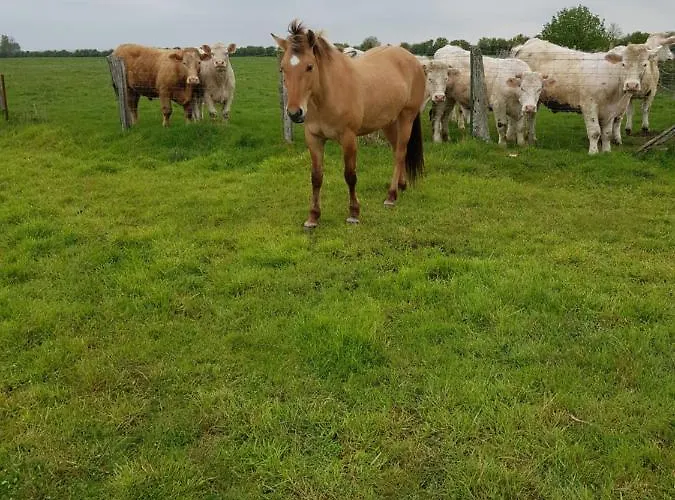 D'hôtes De La Vieille Ecluse Couette-café Quend